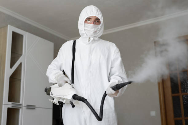 Best Industrial Mold Remediation  in Rose Lodge, OR